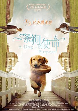 五月综合激情久久婷婷