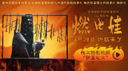 久久er这里只有精品