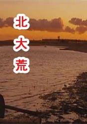 电影一一下载