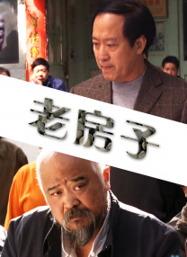 久久精彩视频