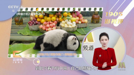 扒开腿灌牛奶调教bl肉便池